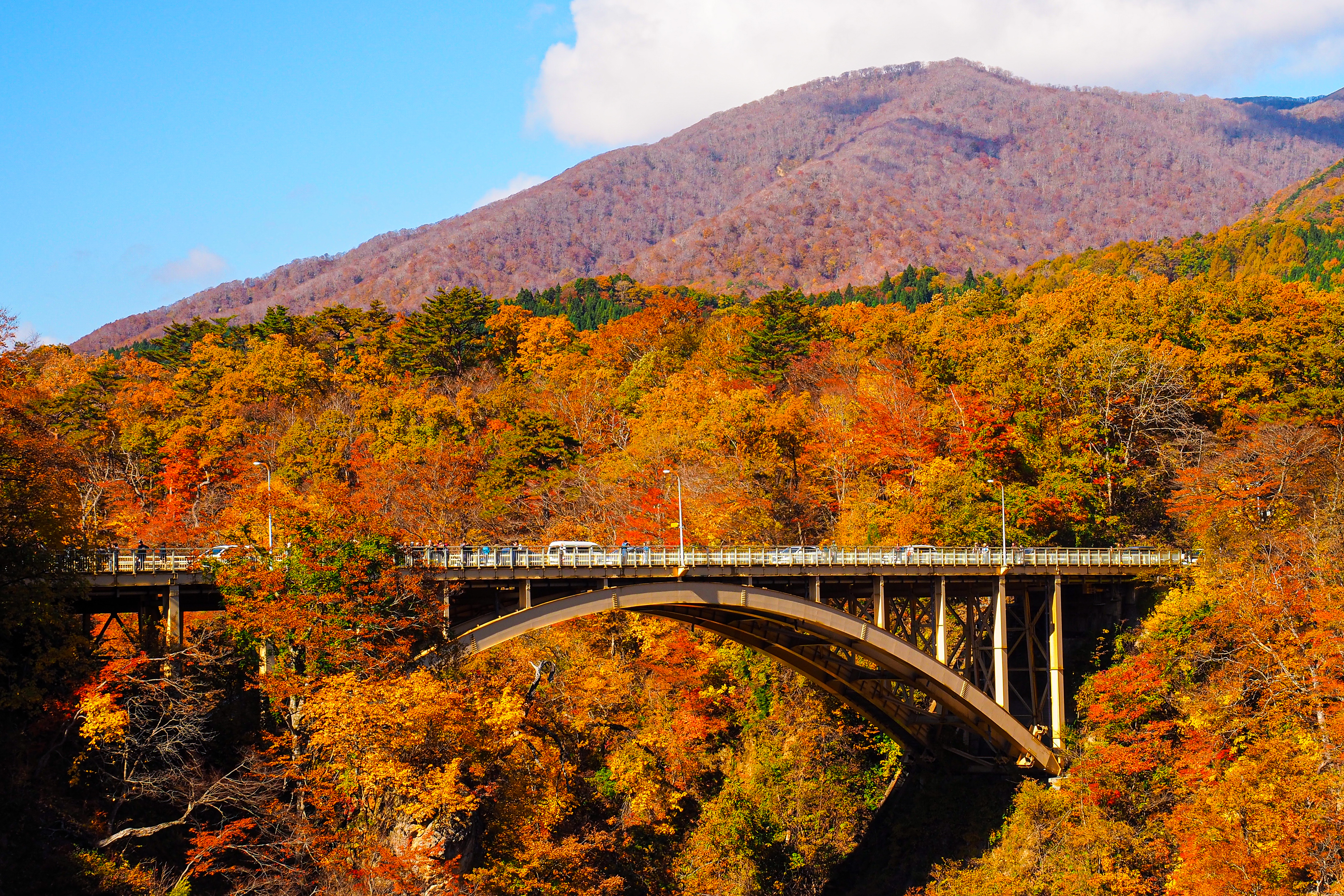 Naruko Gorge (Miyagi Prefecture)