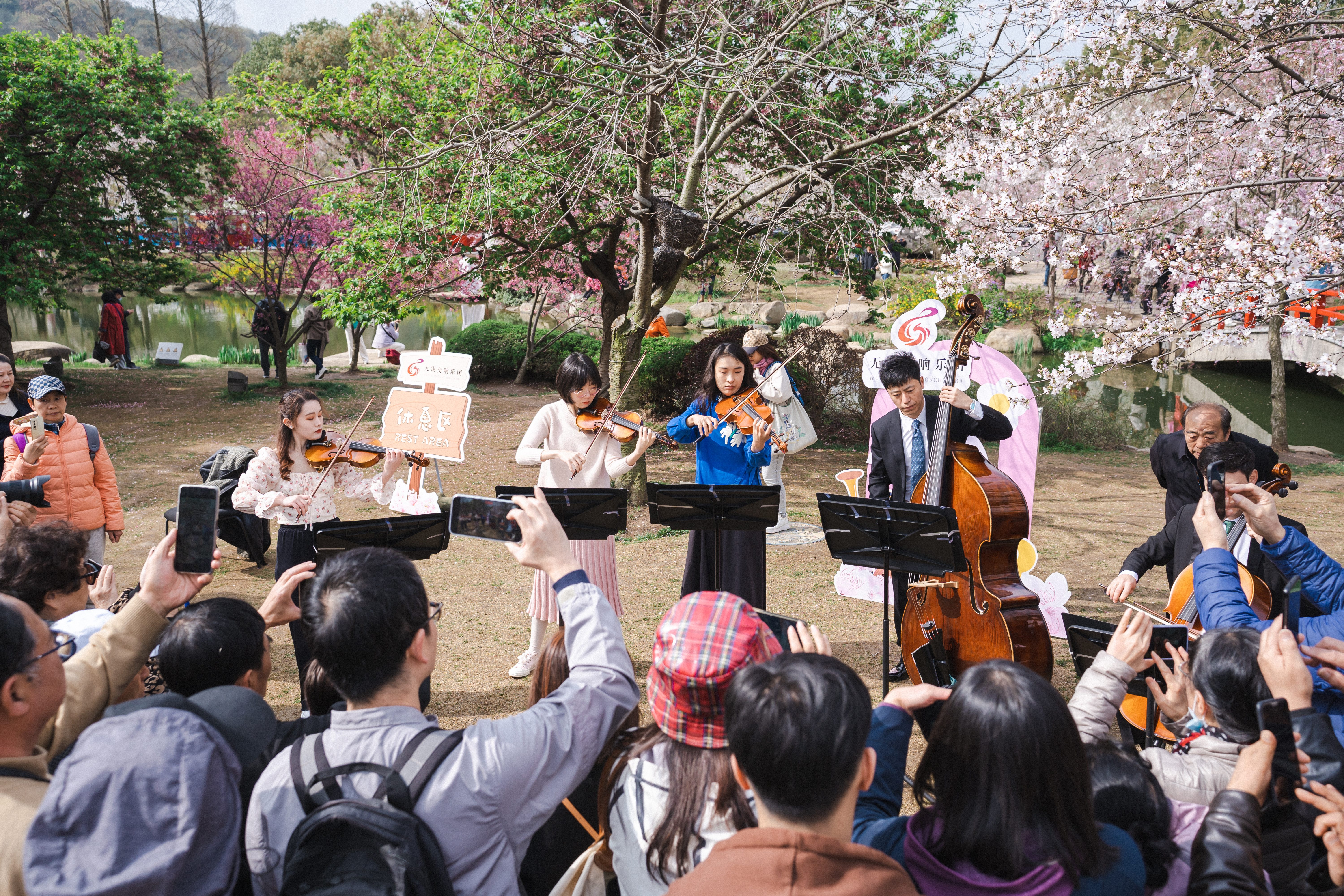 The Wuxi Symphony Orchestra at Yuantouzhu